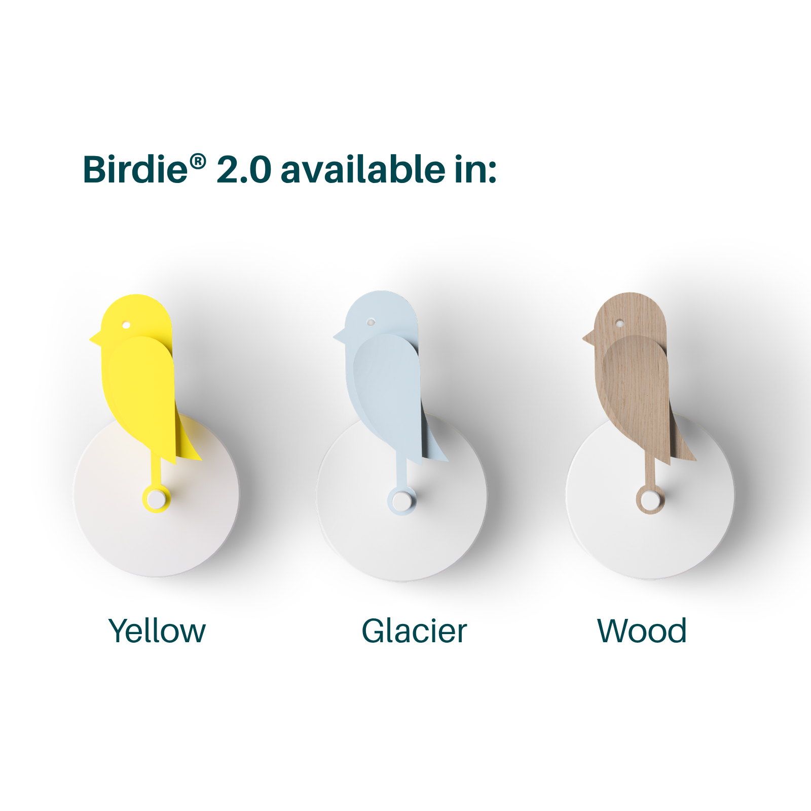 Meet Birdie